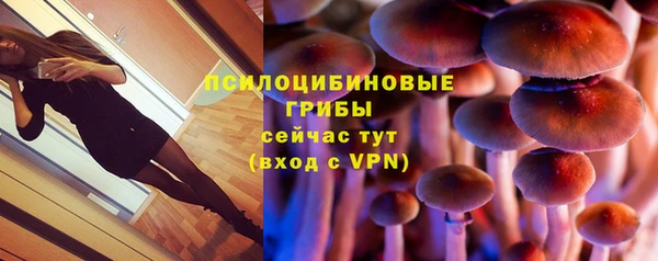 MDMA Premium VHQ Дмитриев