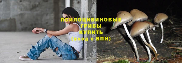 амф Дмитровск