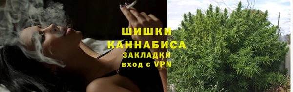 амф Дмитровск