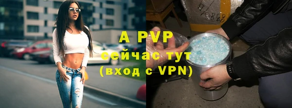 эйфоретик Дмитров
