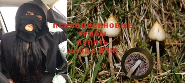 MDMA Premium VHQ Дмитриев