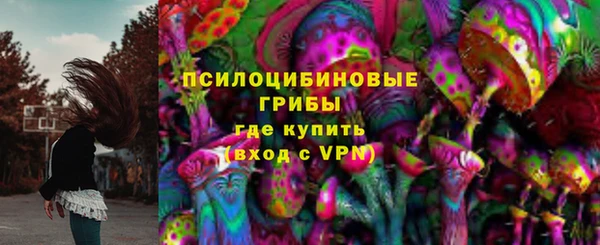 амф Дмитровск